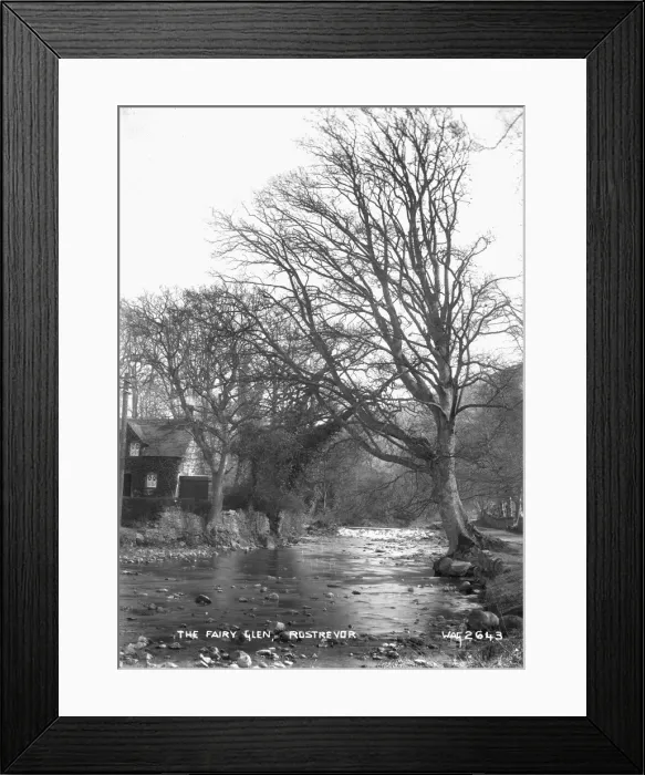 Framed Print : The Fairy Glen, Rostrevor Framed Print : The Fairy Glen, Rostrevor