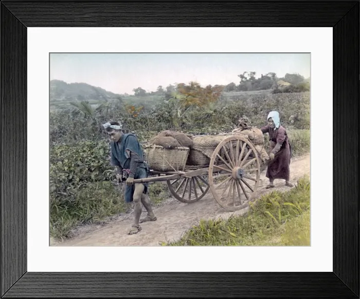 Framed Print : Farm cart, Japan, circa 1880s Framed Print : Farm cart, Japan, circa 1880s