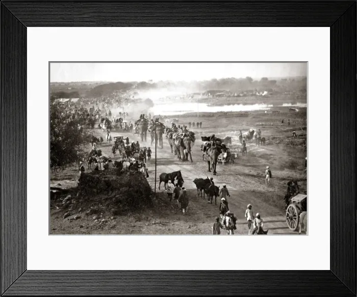 Framed Print : Army Train with elephants Delhi, India, 1886