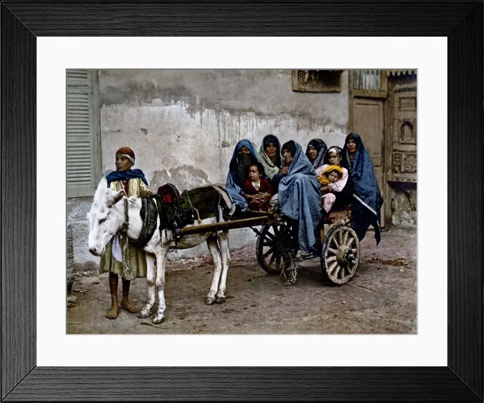 Framed Print : Donkey cart, Egypt, circa 1890s Framed Print : Donkey cart, Egypt, circa 1890s