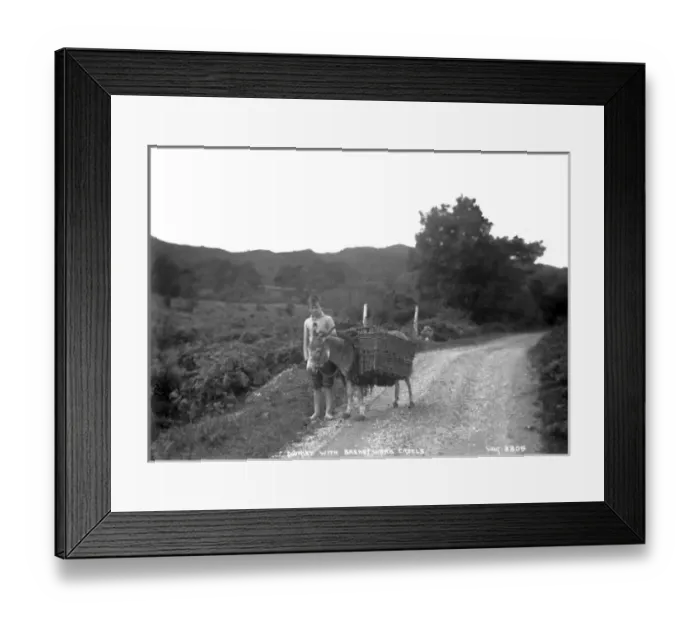 Framed Print : Donkey With Basketwork Creels Framed Print : Donkey With Basketwork Creels