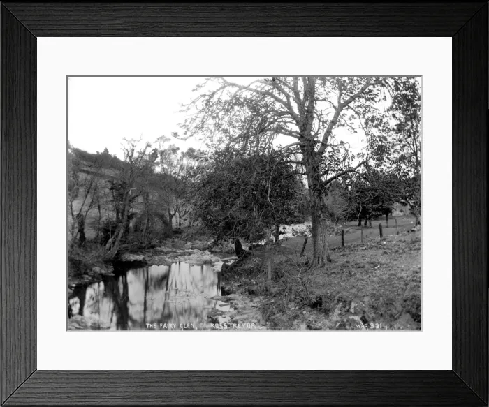 Framed Print : The Fairy Glen, Rostrevor Framed Print : The Fairy Glen, Rostrevor