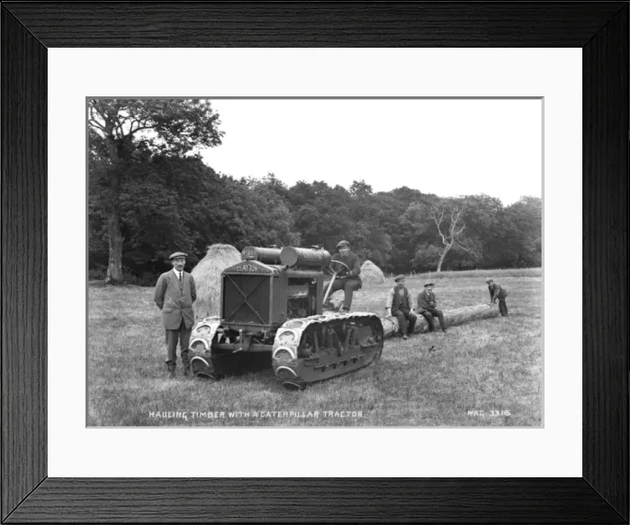 Framed Print : Hauling Timber With a Caterpillar Tractor Framed Print : Hauling Timber With a Caterpillar Tractor