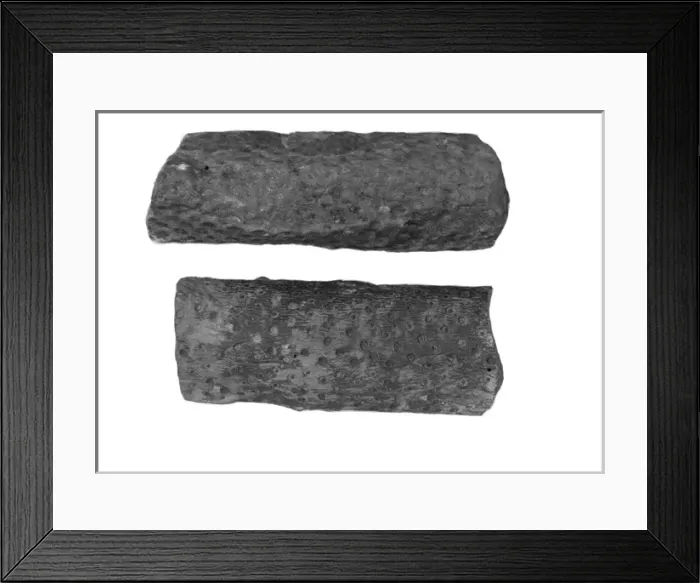 Framed Print : Two pieces of Carboniferous sandstone from Ballycastle Framed Print : Two pieces of Carboniferous sandstone from Ballycastle