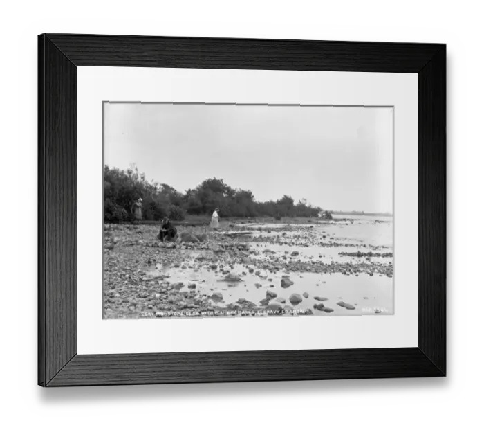 Framed Print : Clay Ironstone Beds With Plant Remains, Glenavy, Co. Antrim Framed Print : Clay Ironstone Beds With Plant Remains, Glenavy, Co. Antrim