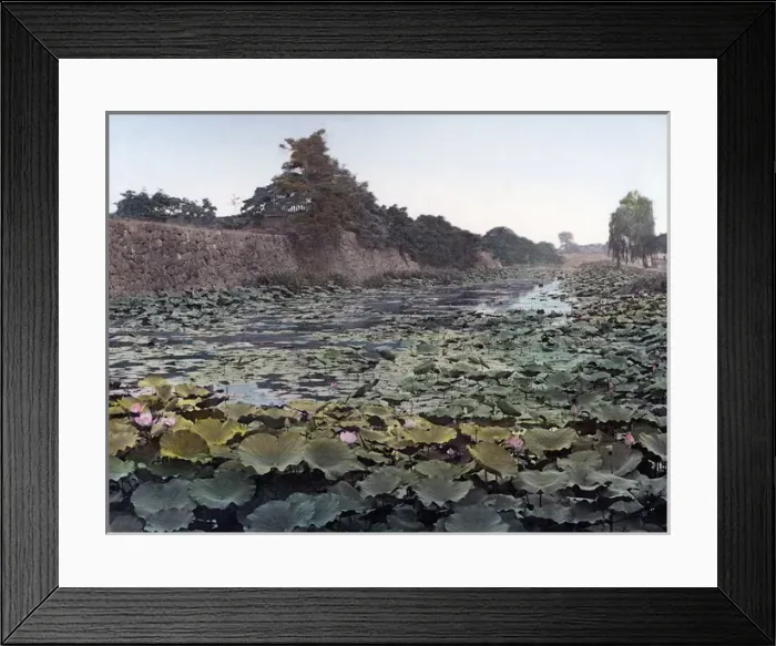 Framed Print : Castle wall and lotus pond, Tokyo, Japan, circa 1880s