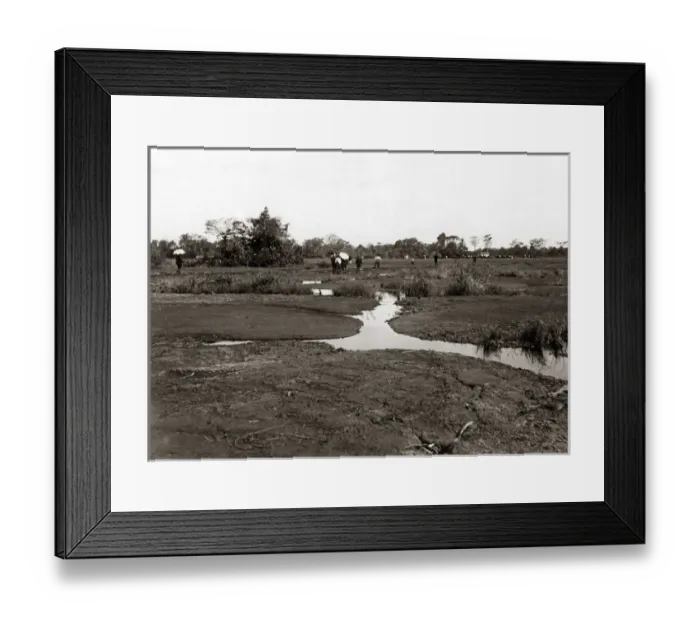 Framed Print : The pitch lake, Trinidad, West Indies, circa 1900 Framed Print : The pitch lake, Trinidad, West Indies, circa 1900