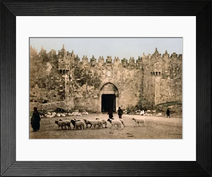 Framed Print : City walls and flock of sheep, Jerusalem, Palestine, circa 1 Framed Print : City walls and flock of sheep, Jerusalem, Palestine, circa 1