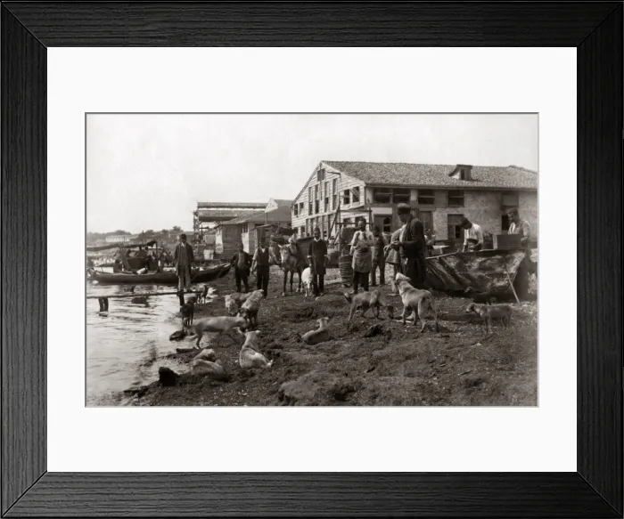 Framed Print : Boats, Constantinople, (Istanbul) Turkey Framed Print : Boats, Constantinople, (Istanbul) Turkey