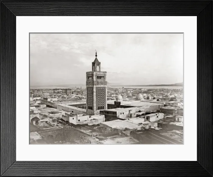Framed Print : View of Tunis, Tunisia, circa 1890