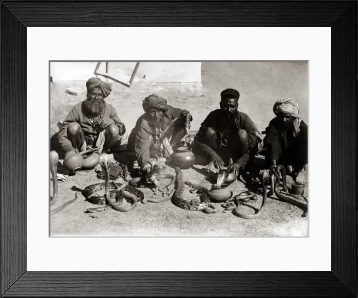 Framed Print : Snake charmers, India, circa 1890 Framed Print : Snake charmers, India, circa 1890