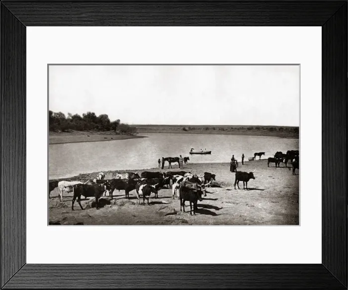 Framed Print : Catt the The Bend on the Vaal River, South Africa, circa 188 Framed Print : Catt the The Bend on the Vaal River, South Africa, circa 188