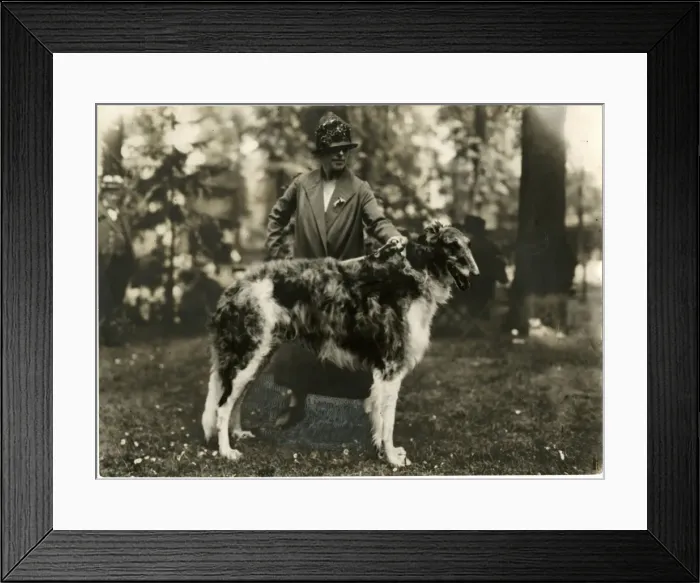 Framed Print : Woman with an Irish Wolfhound Framed Print : Woman with an Irish Wolfhound