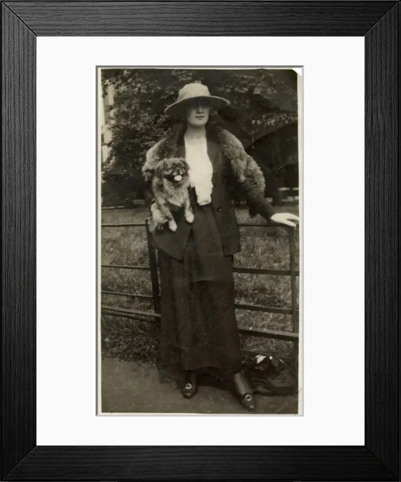 Framed Print : Woman with Pekingese dog in a park Framed Print : Woman with Pekingese dog in a park
