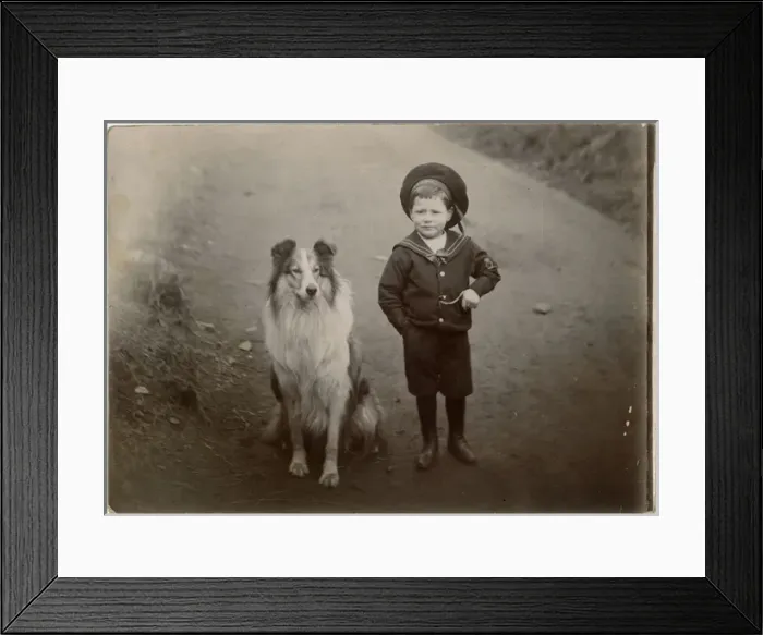 Framed Print : Boy in a sailor suit with a collie dog Framed Print : Boy in a sailor suit with a collie dog