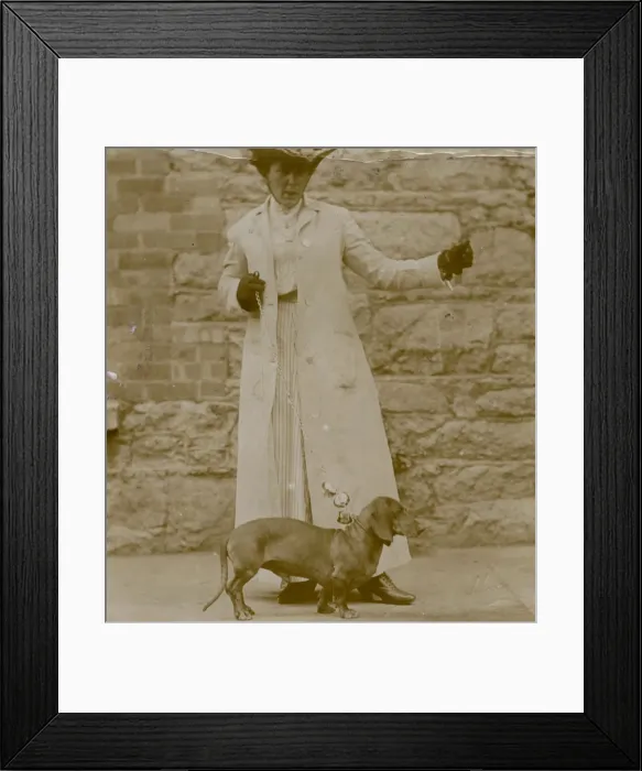 Framed Print : Edwardian woman with a dachshund on a lead Framed Print : Edwardian woman with a dachshund on a lead