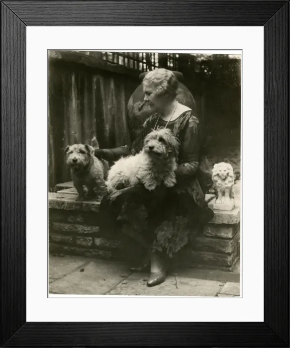 Framed Print : Woman in a garden with two dogs Framed Print : Woman in a garden with two dogs