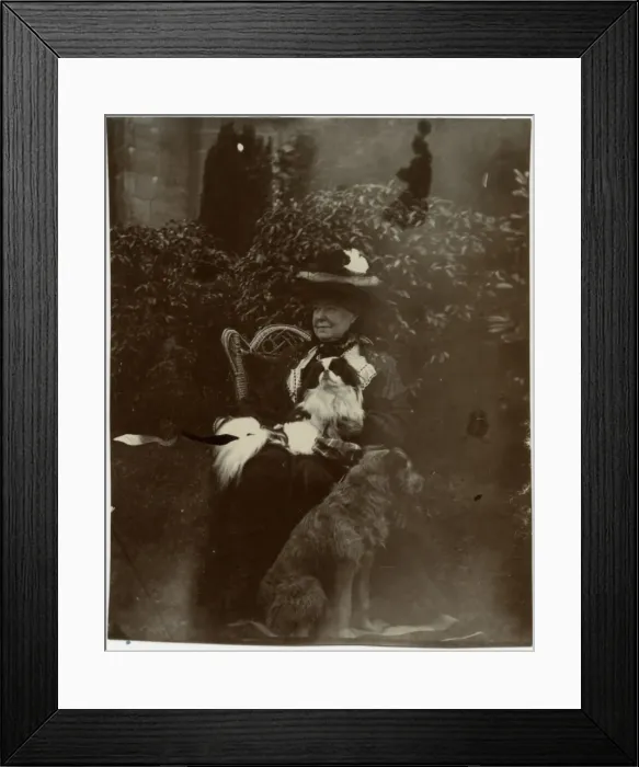 Framed Print : Woman with two dogs in a garden Framed Print : Woman with two dogs in a garden