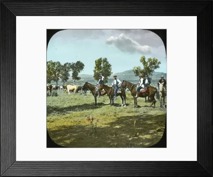 Framed Print : USA - Montana - Cattle Ranche Framed Print : USA - Montana - Cattle Ranche