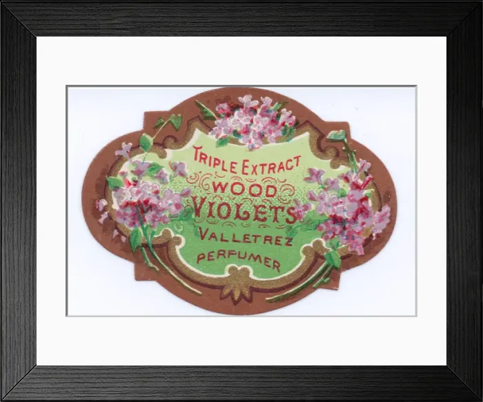 Framed Print : Perfume label, Triple Extract Wood Violets Framed Print : Perfume label, Triple Extract Wood Violets
