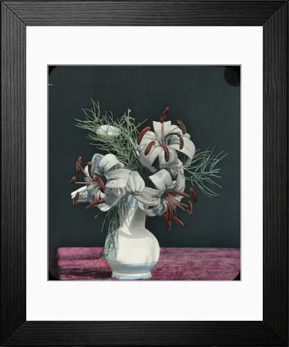 Framed Print : Flowers - Turks Cap Lily Framed Print : Flowers - Turks Cap Lily