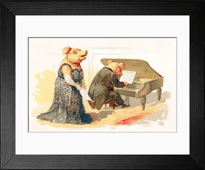 Framed Print : Two pigs performing in a concert Framed Print : Two pigs performing in a concert