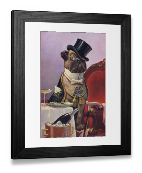 Framed Print : Bulldog in evening dress on a greetings postcard Framed Print : Bulldog in evening dress on a greetings postcard