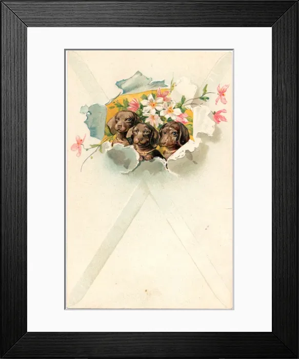 Framed Print : Three dogs with flowers on a greetings postcard Framed Print : Three dogs with flowers on a greetings postcard