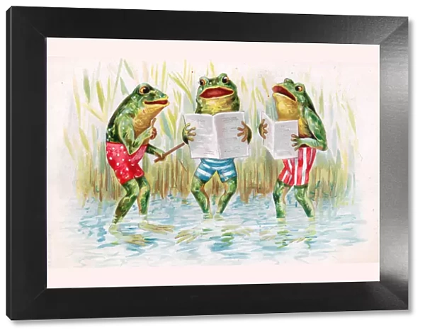 Three frogs learning how to swim on a greetings postcard