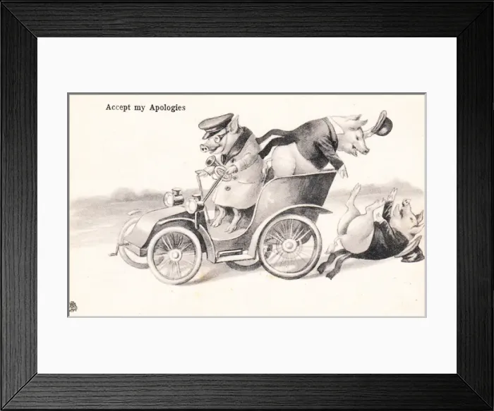 Framed Print : Pigs in a car on a postcard Framed Print : Pigs in a car on a postcard