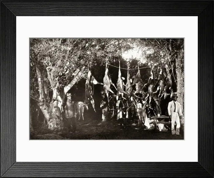 Framed Print : Game hunters with their catch, South Africa, circa 1888 Framed Print : Game hunters with their catch, South Africa, circa 1888