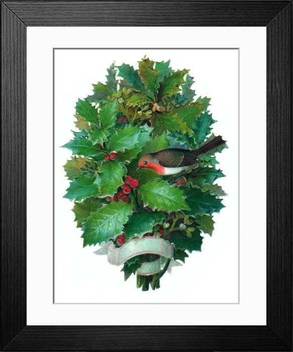 Framed Print : Robin with holly on a Victorian Christmas scrap Framed Print : Robin with holly on a Victorian Christmas scrap