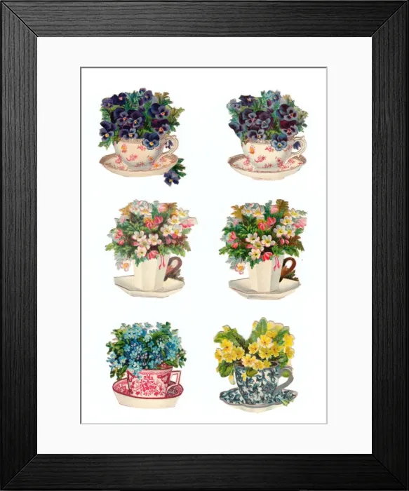 Framed Print : China cups with flowers on six Victorian scraps Framed Print : China cups with flowers on six Victorian scraps