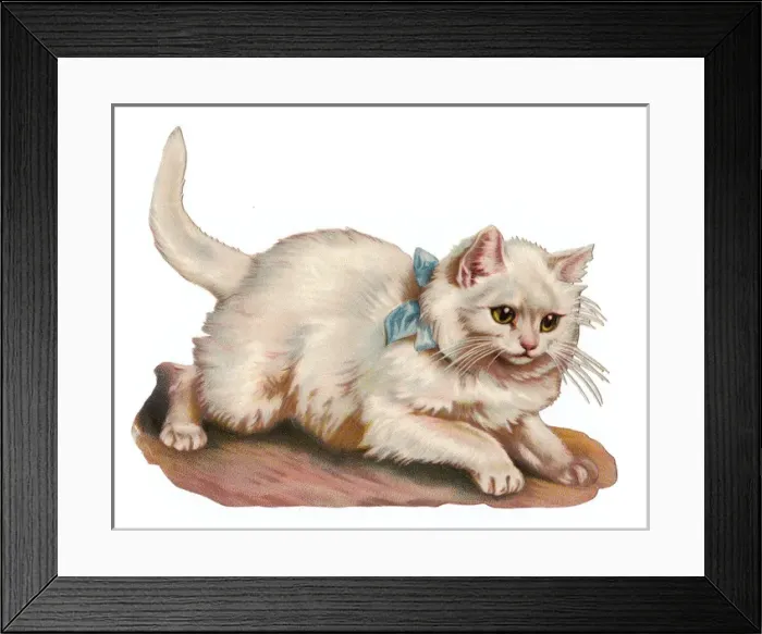 Framed Print : White cat on a Victorian scrap Framed Print : White cat on a Victorian scrap