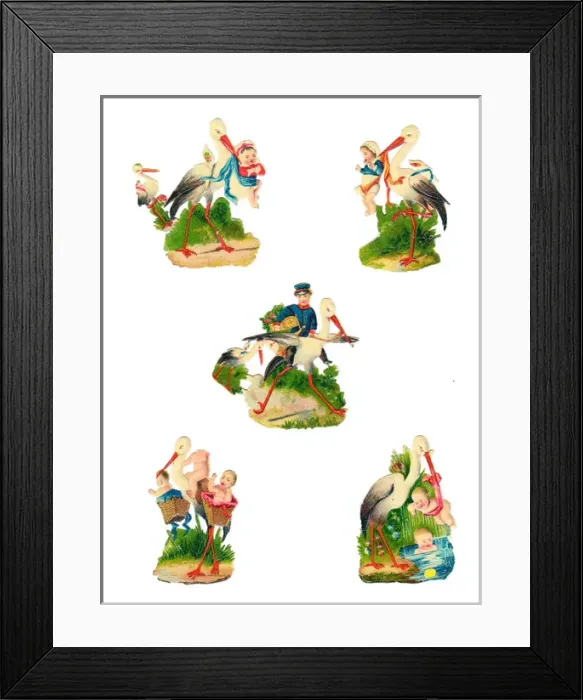 Framed Print : Babies and storks on five Victorian scraps Framed Print : Babies and storks on five Victorian scraps