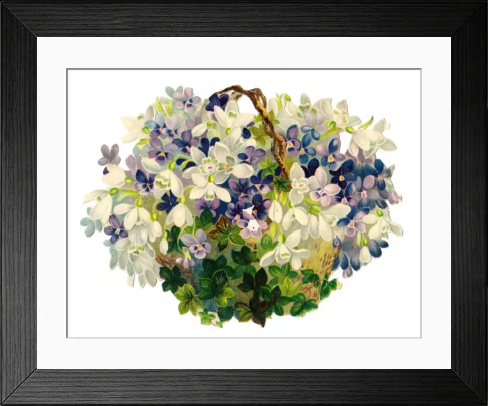 Framed Print : Basket of white and mauve flowers on a Victorian scrap Framed Print : Basket of white and mauve flowers on a Victorian scrap