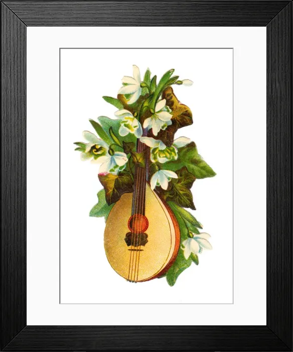 Framed Print : Mandolin with white flowers on a Victorian scrap Framed Print : Mandolin with white flowers on a Victorian scrap