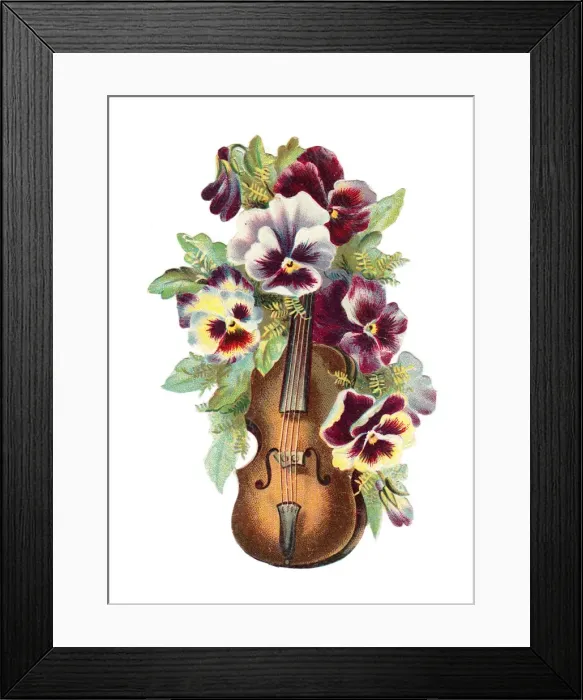 Framed Print : Violin with pansies on a Victorian scrap Framed Print : Violin with pansies on a Victorian scrap