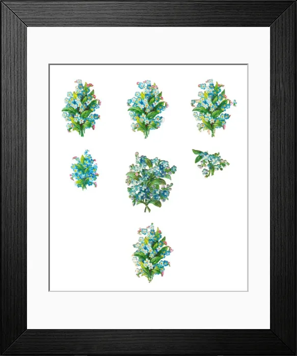 Framed Print : Forgetmenots on seven Victorian scraps Framed Print : Forgetmenots on seven Victorian scraps