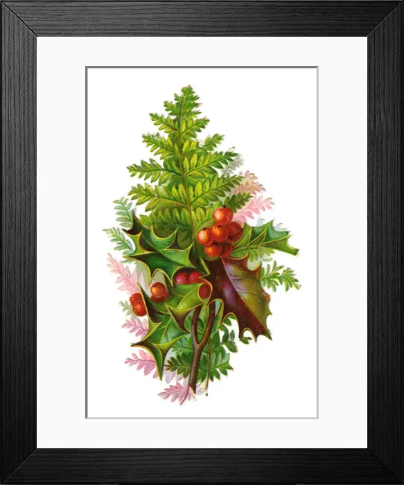Framed Print : Holly and fern on a Victorian Christmas scrap Framed Print : Holly and fern on a Victorian Christmas scrap