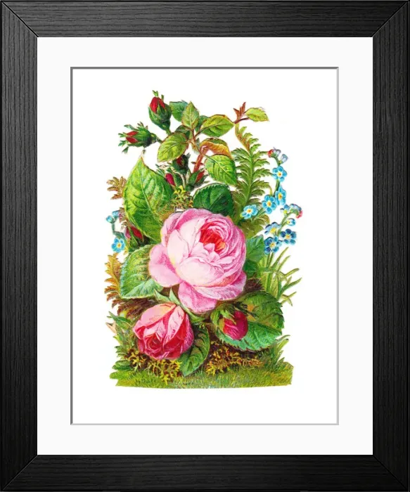 Framed Print : Pink roses and blue forgetmenots on a Victorian scrap Framed Print : Pink roses and blue forgetmenots on a Victorian scrap