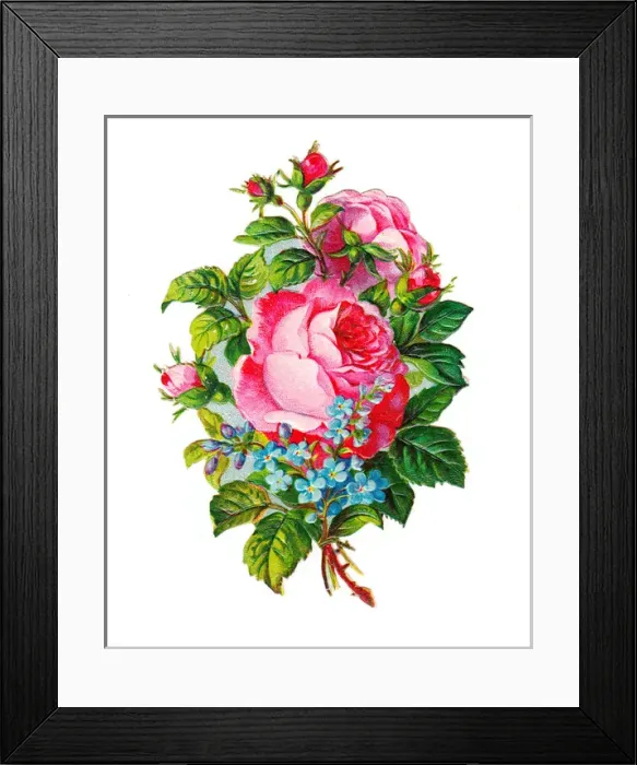 Framed Print : Pink roses and blue forgetmenots on a Victorian scrap Framed Print : Pink roses and blue forgetmenots on a Victorian scrap
