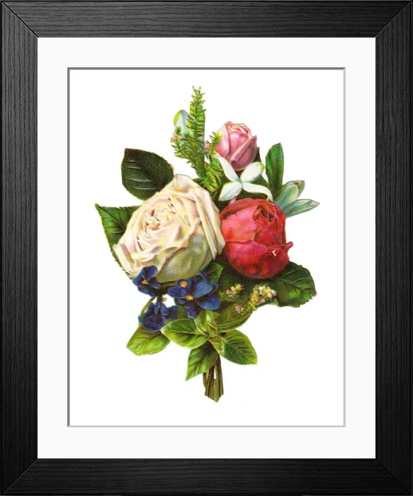 Framed Print : Roses on a Victorian scrap Framed Print : Roses on a Victorian scrap