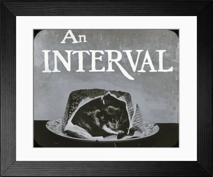Framed Print : Mottos - Cat in Cake Interval Framed Print : Mottos - Cat in Cake Interval