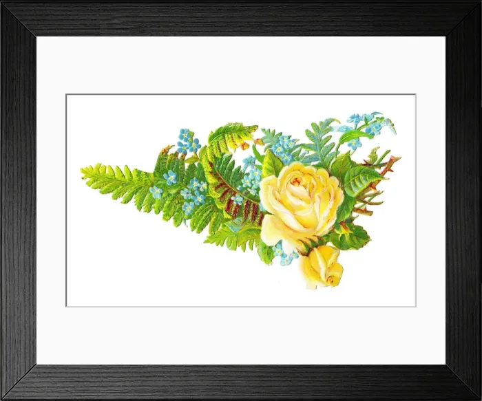 Framed Print : Yellow roses and blue forgetmenots on a Victorian scrap Framed Print : Yellow roses and blue forgetmenots on a Victorian scrap
