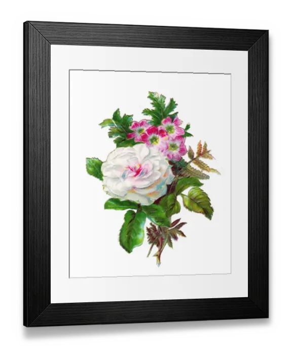 Framed Print : White rose and other flowers on a Victorian scrap Framed Print : White rose and other flowers on a Victorian scrap