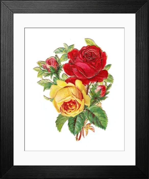 Framed Print : Roses on a Victorian scrap Framed Print : Roses on a Victorian scrap
