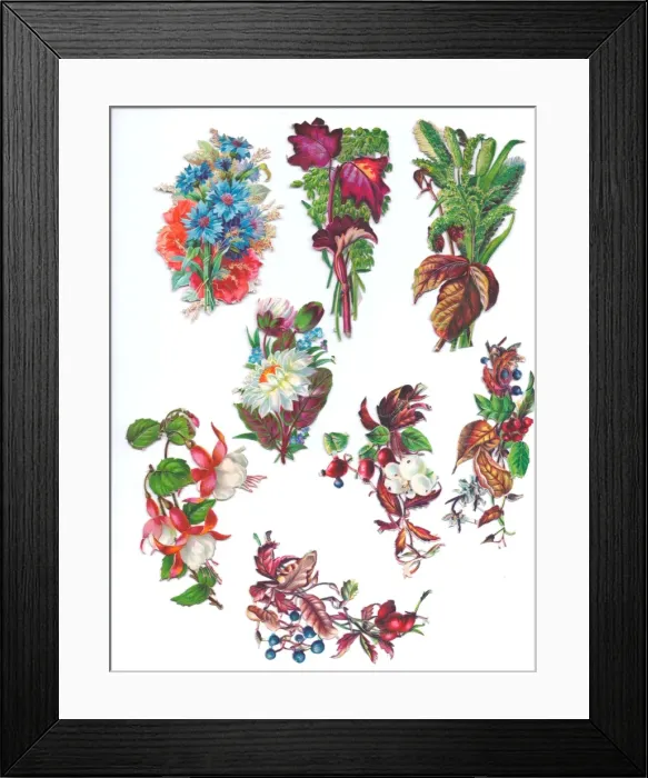 Framed Print : Flowers and foliage on eight Victorian scraps Framed Print : Flowers and foliage on eight Victorian scraps
