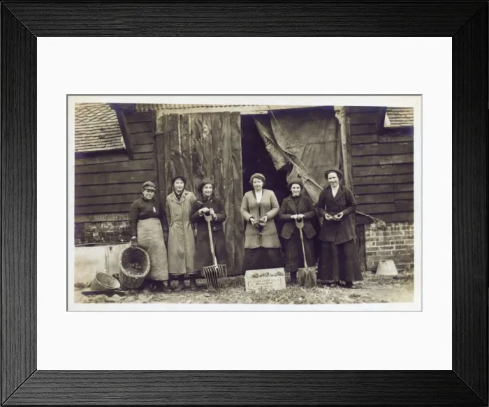 Framed Print : WW1 - Land Army Girls proudly display their crop of potatoes Framed Print : WW1 - Land Army Girls proudly display their crop of potatoes