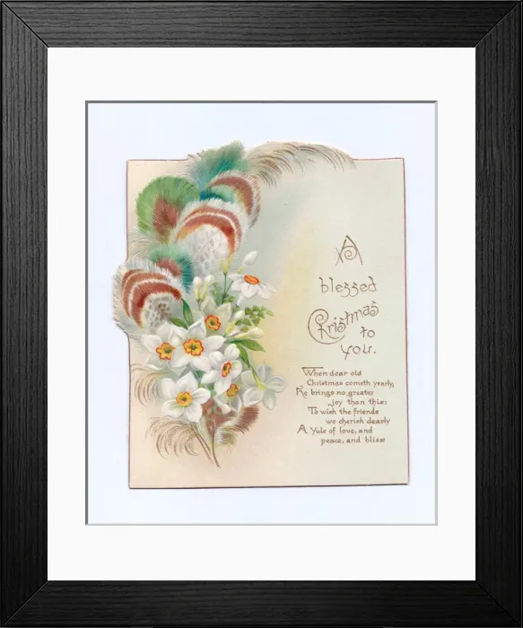 Framed Print : Christmas card with flowers and feathers Framed Print : Christmas card with flowers and feathers